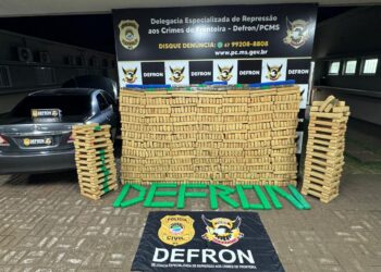 Polícia Civil apreende aproximadamente 1 tonelada de maconha em Dourados