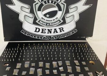 Traficante atiça Pitbulls contra a polícia, mas acaba preso no Caiobá