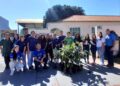 Semana Mundial do Meio Ambiente é celebrada com doação de 2,5 mil mudas do Viveiro Isaac de Oliveira