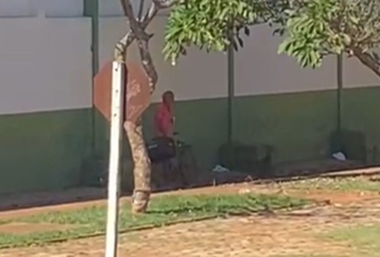 Homem é flagrado batendo uma “punha” por viatura na rua e é preso por importunação sexual