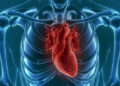 Cardiopatia congênita: 6% das crianças morrem antes de completar um ano de vida
