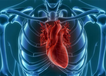 Cardiopatia congênita: 6% das crianças morrem antes de completar um ano de vida