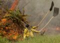 Combate a incêndios no Pantanal ganha reforço de 80 brigadistas da Força Nacional