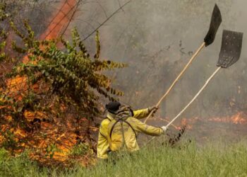 Combate a incêndios no Pantanal ganha reforço de 80 brigadistas da Força Nacional