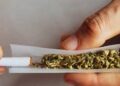 STF decide que não será mais crime portar maconha para uso pessoal