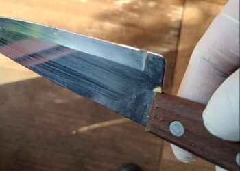 Polícia prende mulher que matou Vagner Gonçalves a golpes de faca durante bebedeira