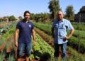 Horta urbana é herança de amor pela produção de hortaliças
