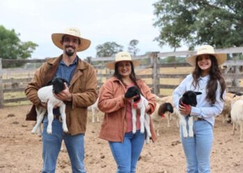 VÍDEO: Família de Rochedo se torna referência na ovinocultura com apoio do Senar/MS