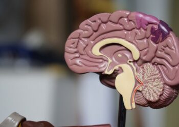 Dia Mundial do Cérebro: A importância de cuidar do órgão que nos define