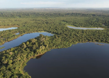 Projeto Piúva Rosa realiza evento de encerramento na cidade de Bonito
