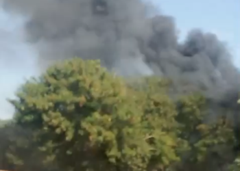 Incêndio destrói parte de “moradia” de capivaras na entrada do Bairro Buriti