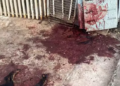 Polícia Militar mata dois Pitbulls que mataram 4 cães no Aero Rancho e colocava população em risco