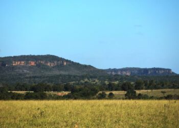 MS tem previsão de sol e baixa umidade relativa do ar nesta quarta-feira
