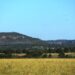 MS tem previsão de sol e baixa umidade relativa do ar nesta quarta-feira