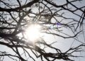 Semana encerra com tempo estável e tem sol como destaque em MS