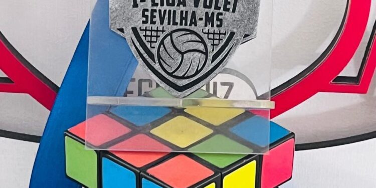 Doze times encaram falta de apoio das entidades esportivas de MS e criam a própria Liga de Vôlei