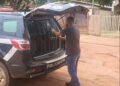 Só nos primeiros 6 meses de 2024, polícia capturou 5 acusados de estupro no interior de MS