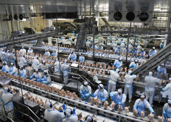 Receita com exportação de industrializados de MS em junho é a maior de toda série histórica