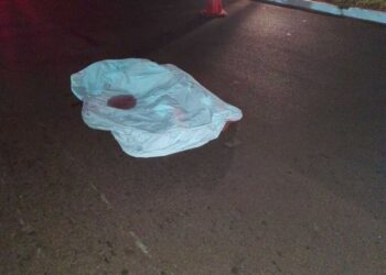 Condutor de ônibus pensa que é papelão, atropela e mata mulher deitada na Avenida Guaicurus