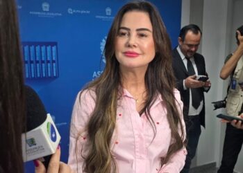 Deputada pede atenção do Governo para Estrada Parque tomada por buracos e desníveis