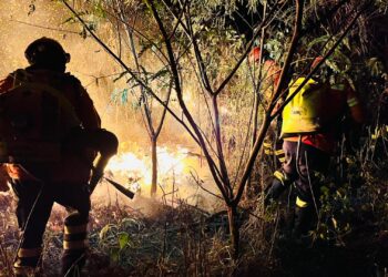 MS tem situação climática extrema e incêndios florestais em todos os biomas