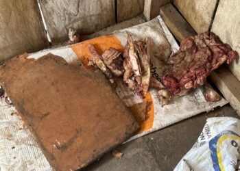 Após flagrante de trabalho escravo, fazenda em Corumbá firma acordo de R$ 277 mil por dano moral à sociedade e às vítimas