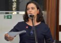 Apesar de conciliação no STF, deputada aponta que luta por direitos indígenas deve continuar