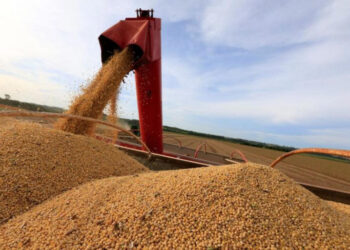 Superávit comercial do Brasil despenca 50% em agosto
