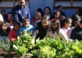 Prefeita quer potencializar a agricultura familiar com programa de aquisição de alimentos e capacitação