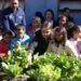 Prefeita quer potencializar a agricultura familiar com programa de aquisição de alimentos e capacitação