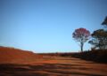Com temperaturas acima da média e baixa umidade do ar, tempo permanece estável nesta terça-feira