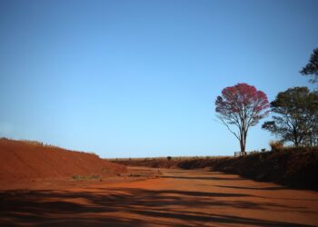 Com temperaturas acima da média e baixa umidade do ar, tempo permanece estável nesta terça-feira
