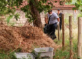 Polícia identifica idoso encontrado morto em terreno da Vila Taveirópolis, ontem