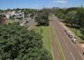 Prefeitura de Campo Grande lança Painel Digital de Árvores Urbanas