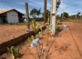 Cinema e agro unem forças pela preservação do cerrado em MS