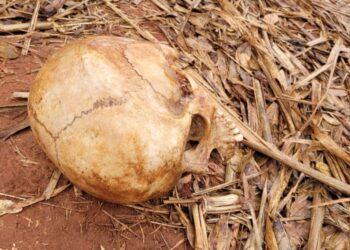 Crânio encontrado no Jardim Tarumã tinha um buraco de tiro, conforme a perícia