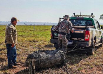 Objeto cilíndrico com capacidade de armazenar água ou gás caiu em fazenda de Naviraí