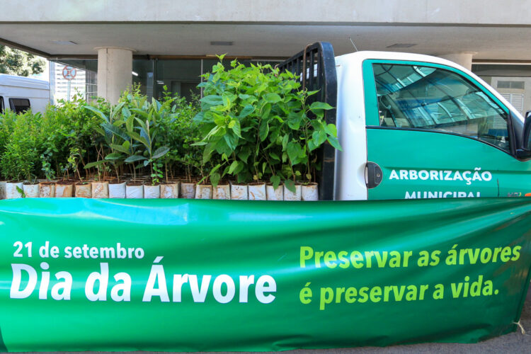 Semadur informa programação de celebração ao Dia da Árvore