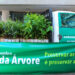 Semadur informa programação de celebração ao Dia da Árvore
