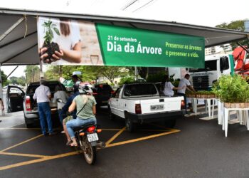 Campo Grande celebra o Dia da Árvore com distribuição de 15 mil mudas de árvores