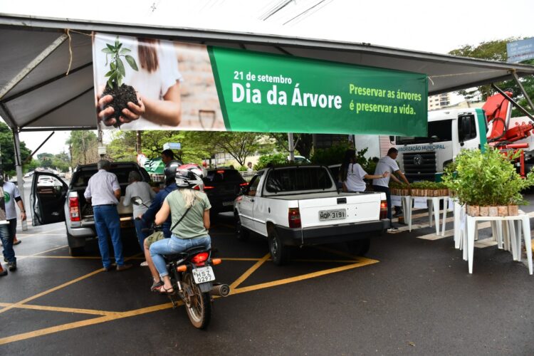 Campo Grande celebra o Dia da Árvore com distribuição de 15 mil mudas de árvores