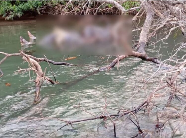 Corpo de homem é encontrado enroscado em galhos de rio, em Água Clara
