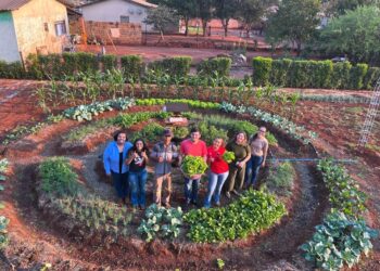 Com apoio da Fundect, bolsistas do Pictec inovam agricultura familiar em Anhanduí