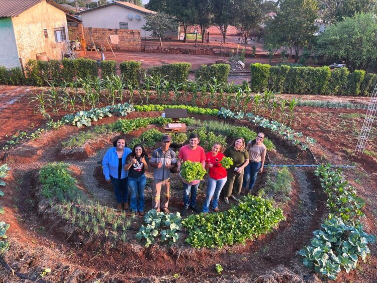 Com apoio da Fundect, bolsistas do Pictec inovam agricultura familiar em Anhanduí