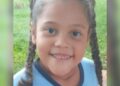 Menina de 8 anos morre na Capital, após ser picada por aranha no interior de MS