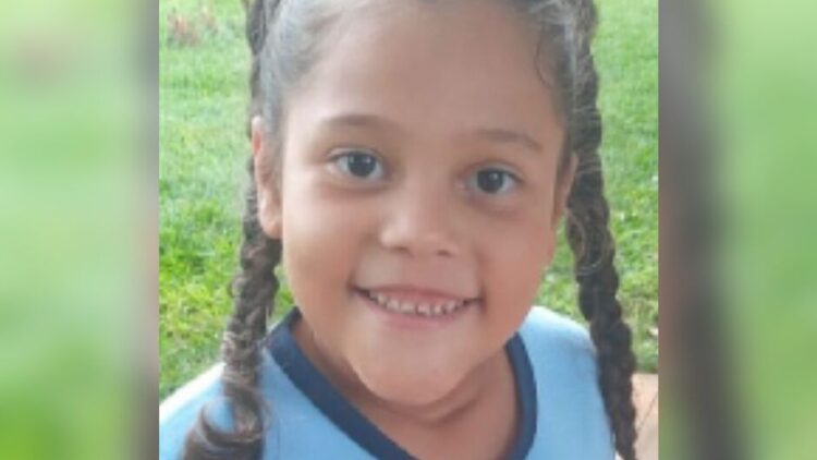 Menina de 8 anos morre na Capital, após ser picada por aranha no interior de MS