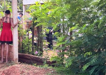 Sobrinho mata o tio a golpes de madeira e ao ser preso ainda dorme no camburão