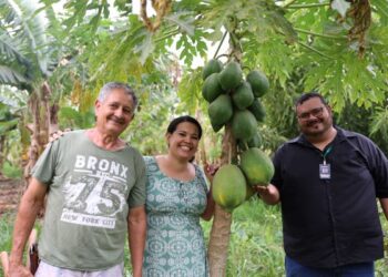 Amor pela terra une 4 gerações e alcança caminho de sustentabilidade com ajuda do Senar/MS