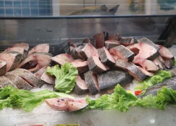 Aliado da saúde, consumo de peixes está em alta no Brasil