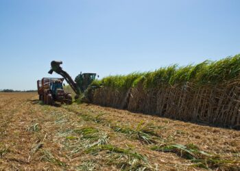 Senai oferece qualificações na Rodada de Empregabilidade do setor de bioenergia